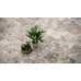 Silver Marble Paver French Pattern Set 20mm